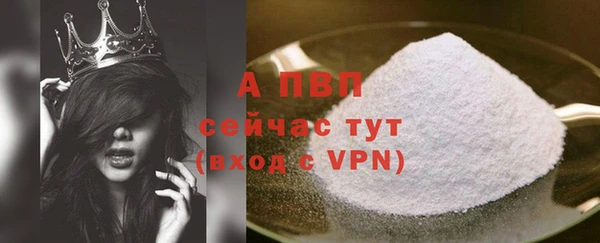 гашик Абаза