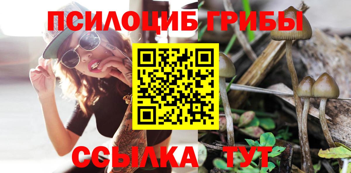Химки  Галлюциногенные грибы GOLDEN TEACHER  Псилоцибиновые грибы прущие грибы  Вход с VPN 