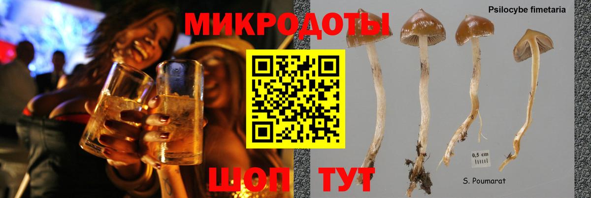 Галлюциногенные грибы ЛСД Химки